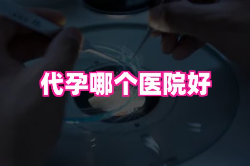 贵州助孕网站 2