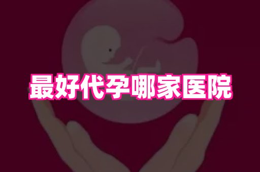 贵州助孕网站 4